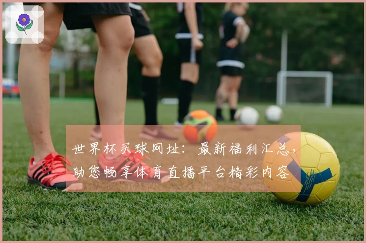 世界杯买球网址:最新福利汇总,助您畅享体育直播平台精彩内容