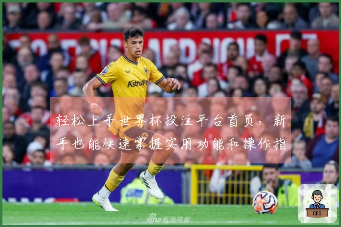 轻松上手世界杯投注平台首页，新手也能快速掌握实用功能和操作指南